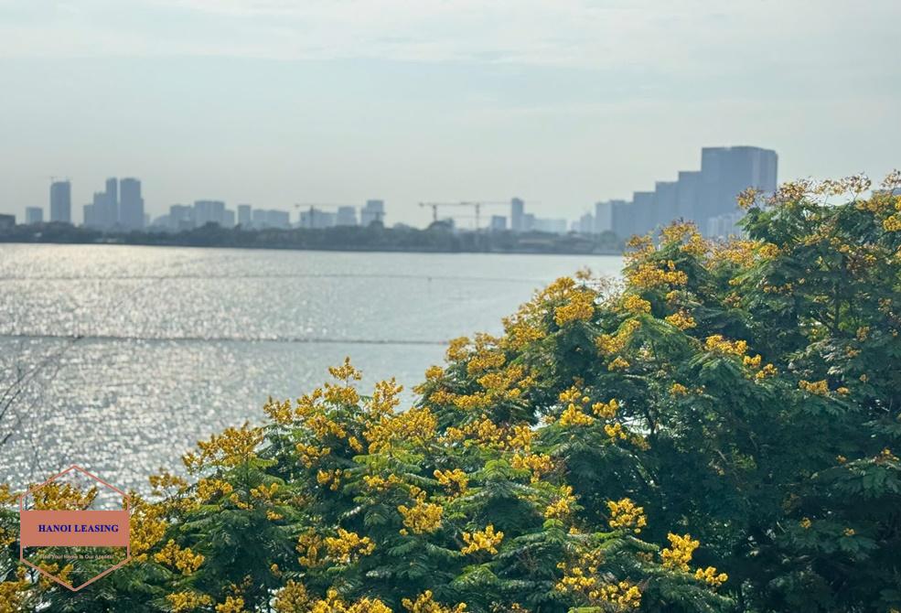 Lake view apartment with 3 bedrooms for rent in Vu Mien, Tay Ho Lake view apartment with 3 bedrooms for rent in Vu Mien, Tay Ho