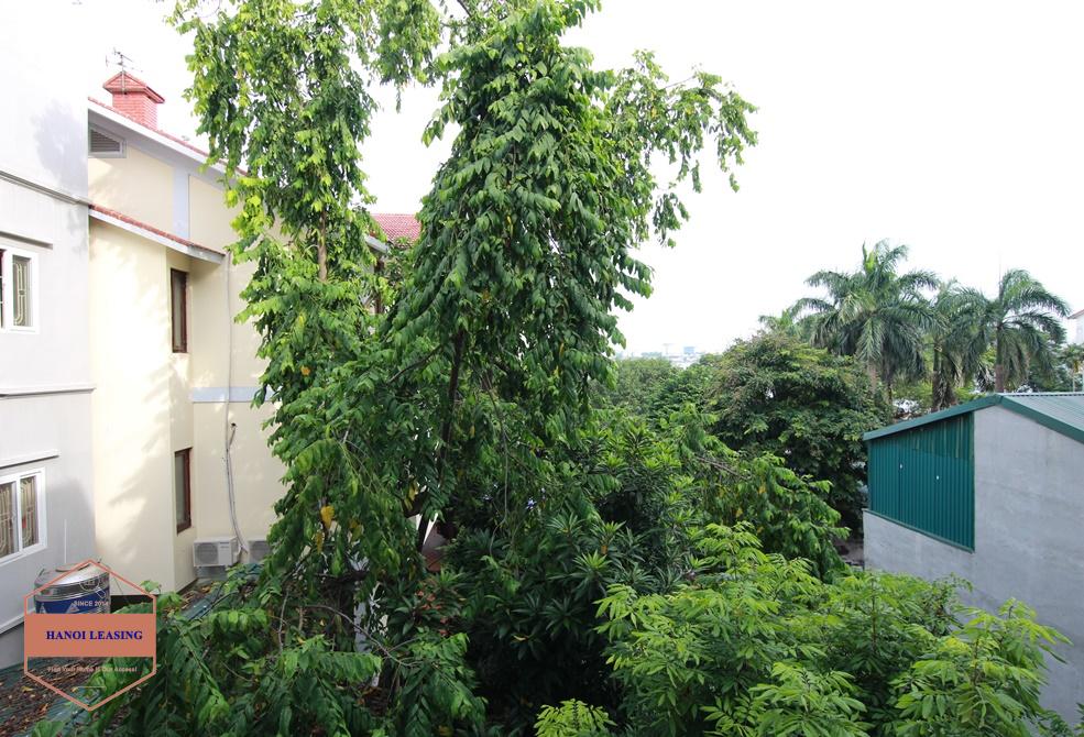 02 bedrooms house with terrace for rent in Dang Thai Mai st, Tay Ho