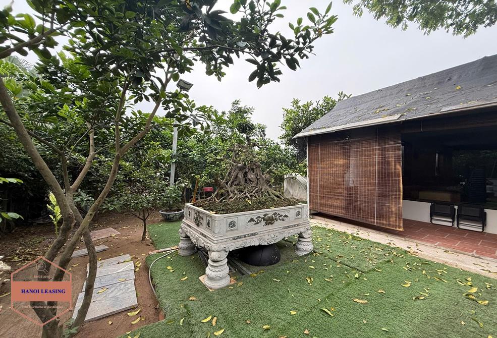 Nice house with gig garden for rent in An Duong, Tay Ho Nice house with gig garden for rent in An Duong, Tay Ho